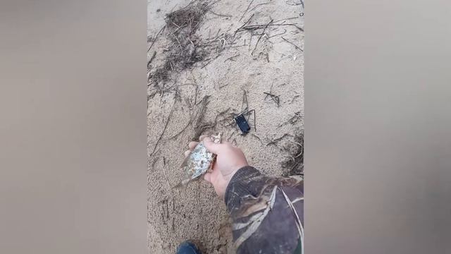 Рыбалка на фидер и поплавок смотреть онлайн