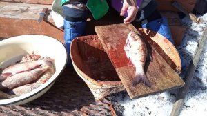 Ханты. Жизнь в лесу. Быт, рыбалка, женщины знают своё дело. Часть №2/Khanty. Life and care. Part №