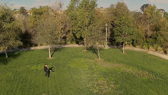 Jet Li's Personal Tai Chi Routine смотреть онлайн