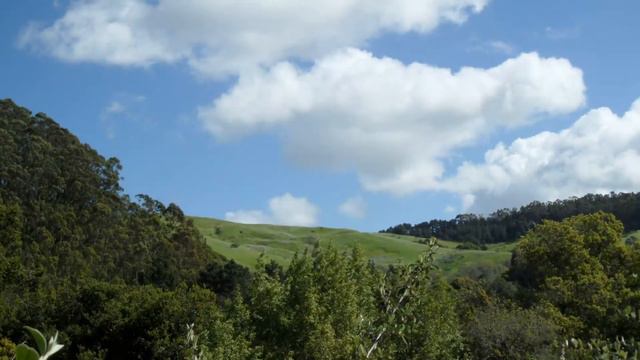 Куда спешишь ты окружённый суетой смотреть онлайн