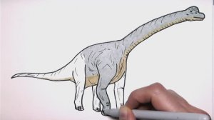 Рисуем и раскрашиваем Брахиозавра из Парка Юрского периода\\ Рисование для мальчиков! Раскраски