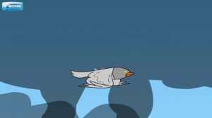 сохраним природу.avi