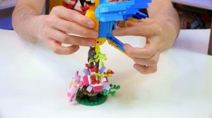 LEGO CREATOR - Я ЗАВЕЛ ПОПУГАЯ!