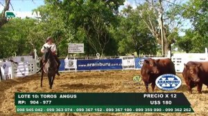 29/10/2020 Sociedad Rural de Durazno - Escritorio Aramburu y Cía. Ltda., Hereford Uruguay