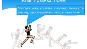 Техника прыжка в длину с разбега.