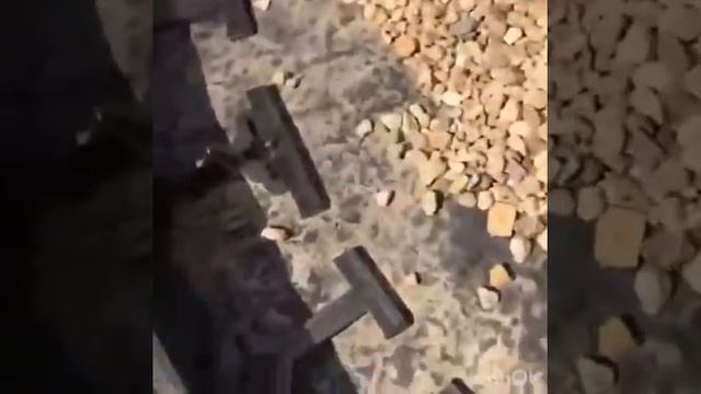 Пластиковый Борддюр ГеоПластБорд 45мм.Установка. смотреть онлайн