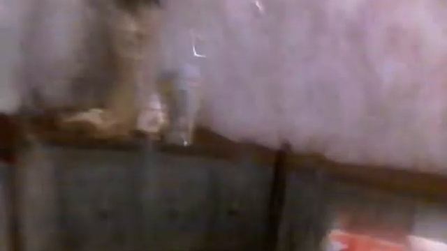 Мой завтрак смотреть онлайн