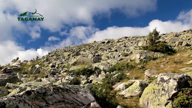 НП "Таганай" за полторы минуты смотреть онлайн