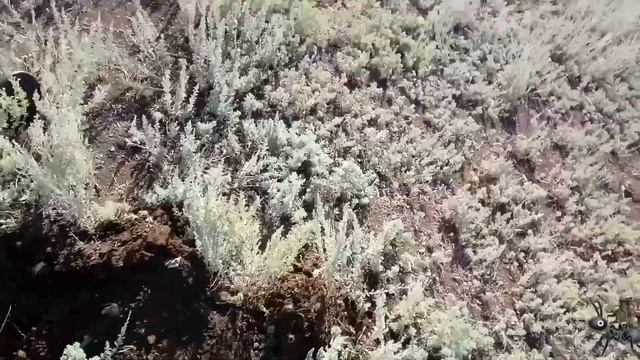 Завершение копа в Александровке#3