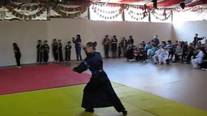 Тайцзи 48 форм Эмейский стиль