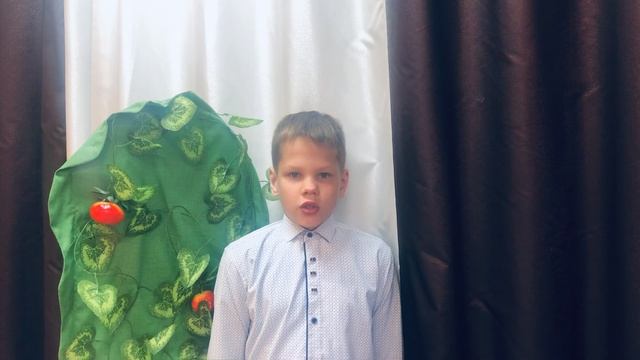 Дмитриев Роман, 10 лет, Н.М. Рубцов "Природа"