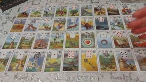 23-КРЫСЫ ?ЗНАЧЕНИЕ КАРТЫ КРЫСЫ В БРЛ ?КОГДА ОНА ПОПАДАЕТ В ДРУГИЕ ДОМА ? ? ?