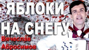 Яблоки на снегу под баян. Поет Вячеслав Абросимов (кавер Михаил Муромов)