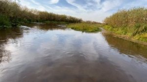 ТЕНКАРА x HIGASHI FLY DREAM 420 6:4 x ЯЗИ В МИКРОРЕЧКЕ #111