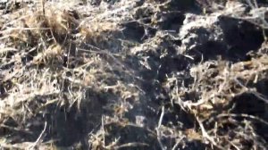 Ростовская обл. Верхнедонской р-он. ст. Мигулинская. ч. 3