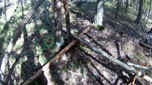 Строю необычный шалаш в лесу \ Bushcraft - лесная жизнь