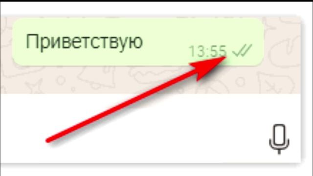 Что значит одна галочка. Галочки в ватсапе. 1 Галочка в ватсапе что это. Две галочки в WHATSAPP. Что обозначают галочки в ватсапе.