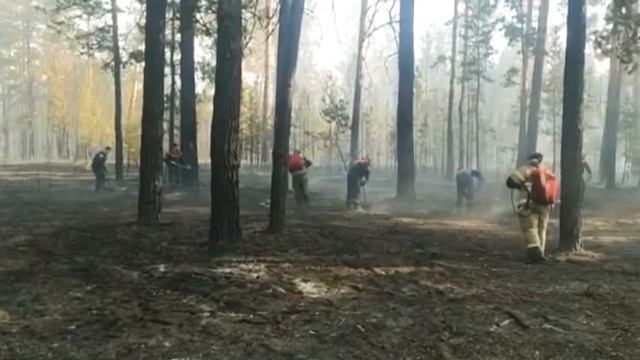 Пожар в Алтайском крае,горит более 2 тысяч гектаров леса.mp4