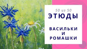 50. Рисуем васильки и ромашки. Серия видео «50 этюдов»