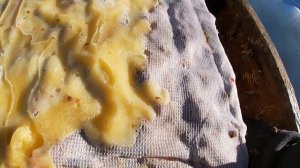 Сверхранний облёт пчёл  на подогреве.