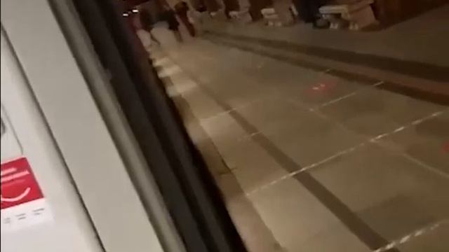 Альпака проехала в московском метро смотреть онлайн