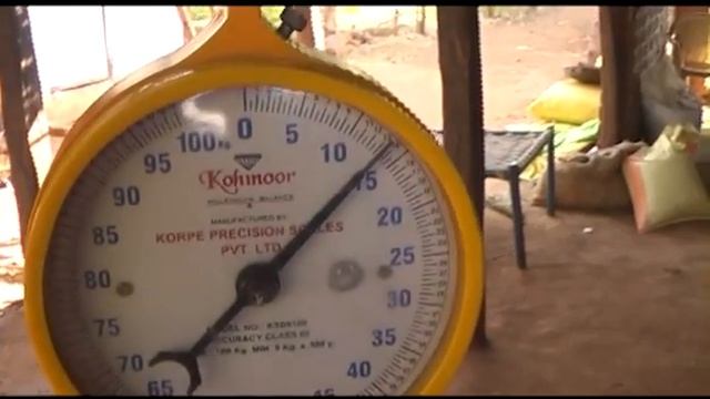 Gliricidia смотреть онлайн