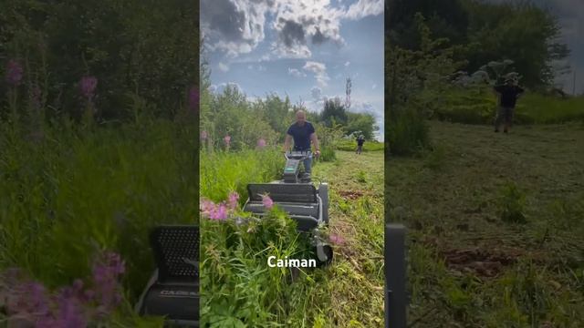 #gardening #садоваятехника #robotmower #покостравы #shortsvideo #газонокосилкабензиновая #мотоблок