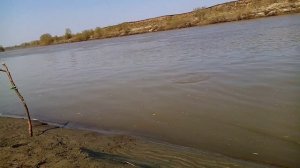 Рыбалка на Чумыше.Весенний жор.