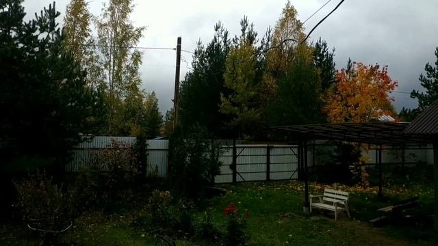 РЕЛАКС ОСЕННИЙ ЛИСТОПАД