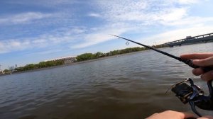 Sportex Carat GT S 2401. Сравнение с Magnific