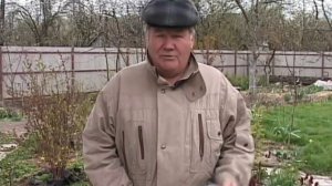 Валерий Панов: Чем обработать кусты смородины и крыжовника весной?