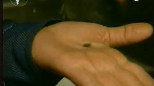 Воскрешение мухи - Разоблачение уличных магов смотреть онлайн