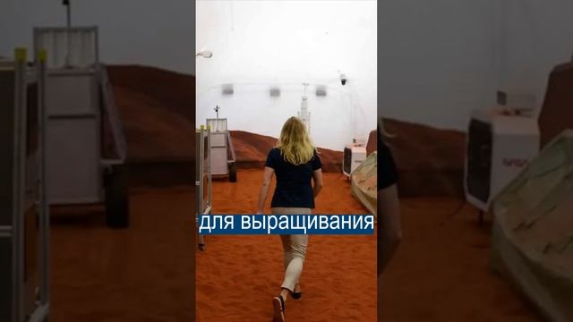 Добровольцы проживут год в СИМУЛЯТОРЕ МАРСА