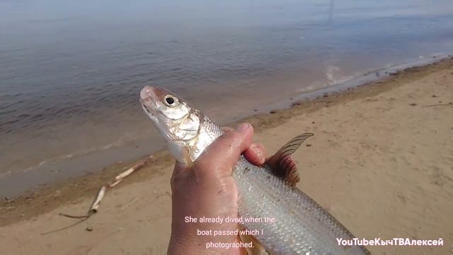 Якутия. Рыбалка. Район Табаги. Yakutia. Fishing. District of Tabagi.