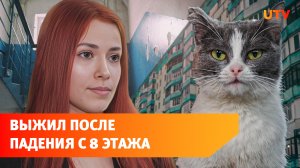 В Уфе кота выбросили с 8 этажа. Животное спасли, ведется проверка