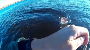 ЛЕЩ на КОЛЬЦО с лодки. Процесс рыбалки.