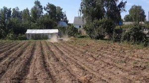 Картофель 2022.