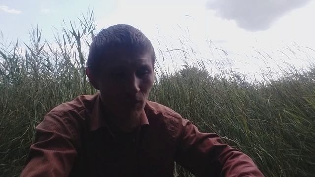 Мистические истории из моей жизни.