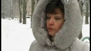 В Макеевке бездомные собаки нападают на людей