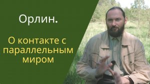 О контакте с параллельным миром