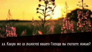 Коран сура Ар Рахьман чтец Саид Дубаха