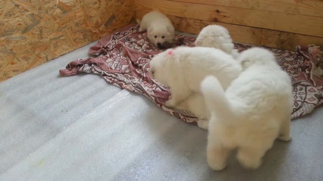 Покушали можно и отдохнуть -