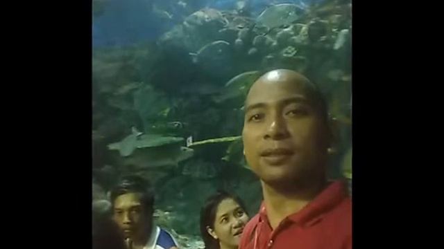 george collection.wmv смотреть онлайн