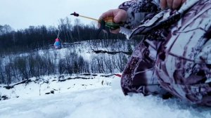 Рыбалка каждый день Везде клюёт берш и иногда судак  Новогодние приключения Лучше моменты #волга