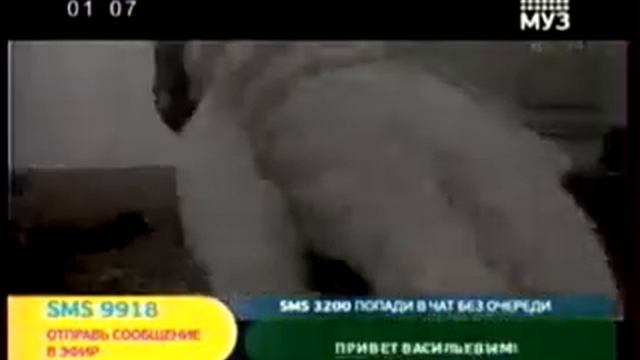 MYLENE FARMER SANS CONTREFACON смотреть онлайн