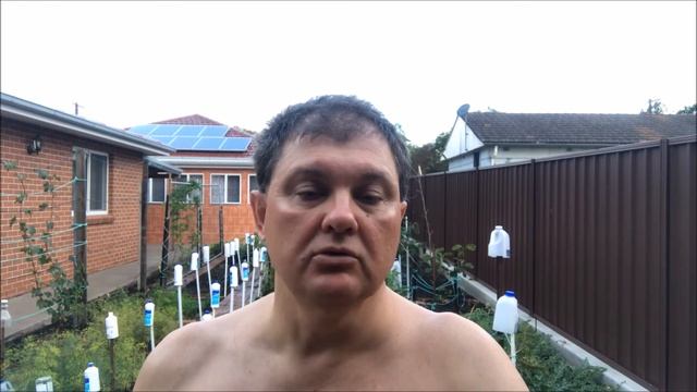 Что сажать в своём саду в Сиднее. [1Australia]#1641 смотреть онлайн