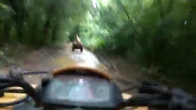 Катаемся на квадроциклах. Раскрываем тайны дольменов. Архипо-Осиповка, отдых 2019. смотреть онлайн