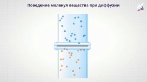 Основные положения МКТ. Броуновское движение