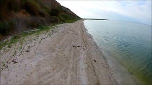 Рыбалка в Глафировке, Азовское море, 08.07.2020