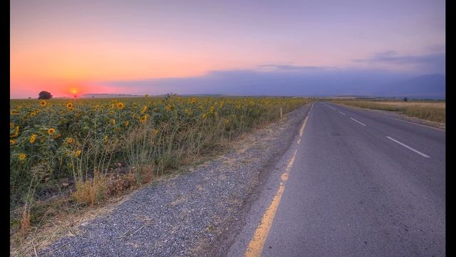 Ивановка, Азербайджан (Подсолнухи) смотреть онлайн